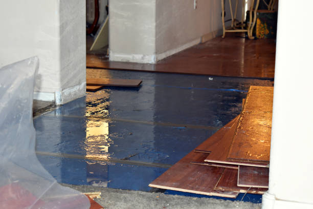 Professional Burst Pipe Cleanup technician working in Hempstead, TX